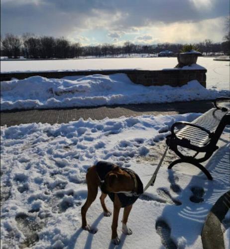 Casa De Paz II - Min from NYC The Heights Casa De Paz II - Min from NYC The Heights