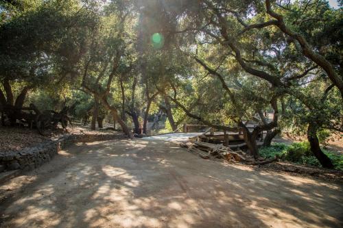 Historic Farmhouse on 5 Peaceful Acres with Ancient Oaks & Creek above Temecula