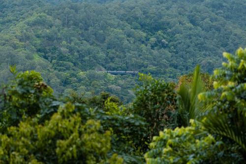 ทัศนียภาพ, Treetops Sanctuary 4BR Entertaining Delight - Pool in คาราโวนิกา