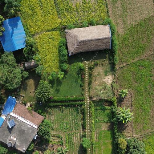 Bardiya Eco Safary Homestay in Thakudwara