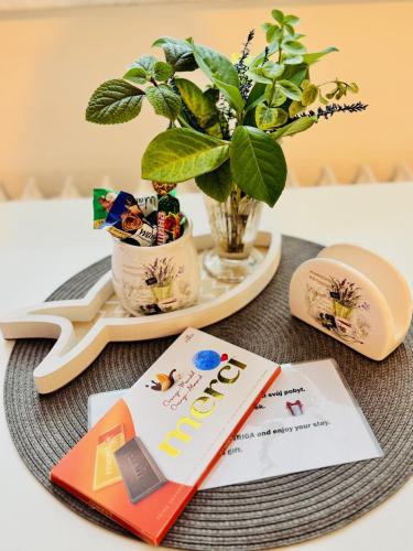 Garsonka ve Dvoře (Garsonka ve Dvore) in ดวูร์ คราโลเว นัด ลาเบม