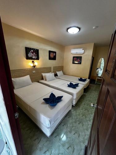 Coco's Guesthouse in Ko Phi Phi