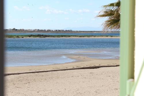 Front de plage du Grazel - Piscine et parking GN500-014 - image 2