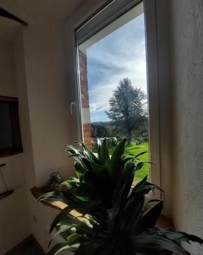 Les Chambres de l'Estelou chambre d'hôte Lannemezan