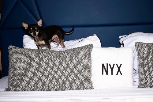 NYX Hotel Limassol - image 4