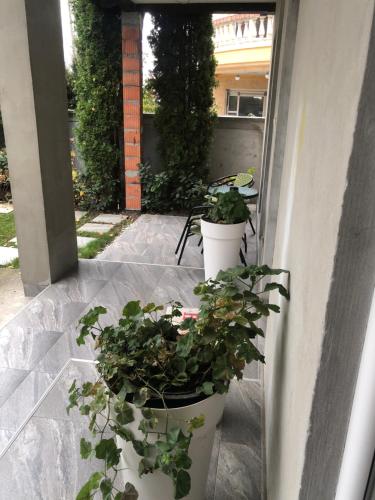 Apartments Dunja in Jugovićevo