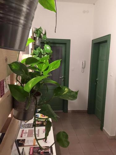 Előcsarnok, Low Cost Ferrara in Ferrara