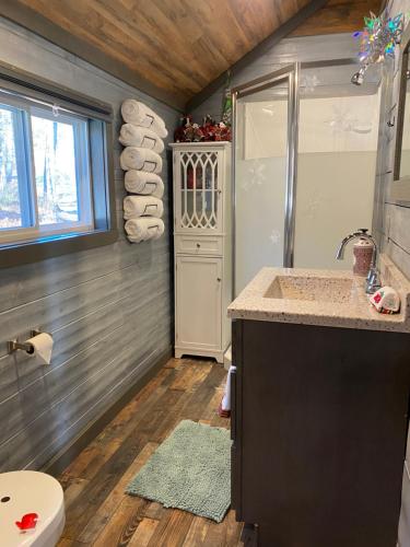 Carlton Cabin at Lake of Egypt 500 Sq Ft in Goreville, USA