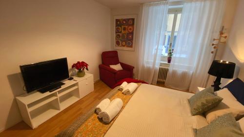 Hilda: Tranquillo appartamento in centro, Curych