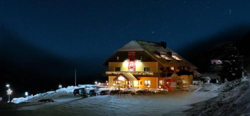 Alpenhotel & Aparthotel Lanz in Hohentauern