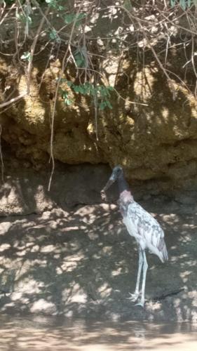 Puertohumo in Isla Zahino