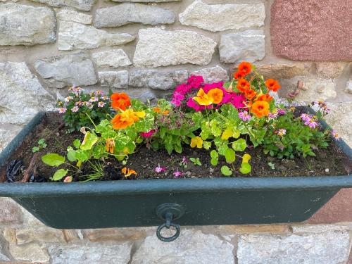 Stunning location for 4 with Pets Log fire Pass the Keys