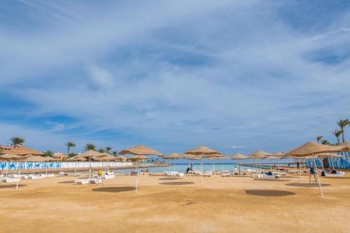 scandic resort 647 4