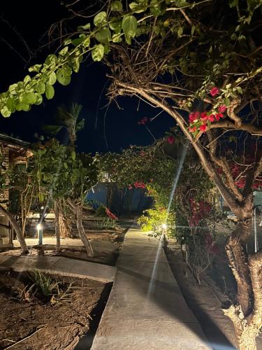 Amar são Miguel Pousada Amar são Miguel Pousada