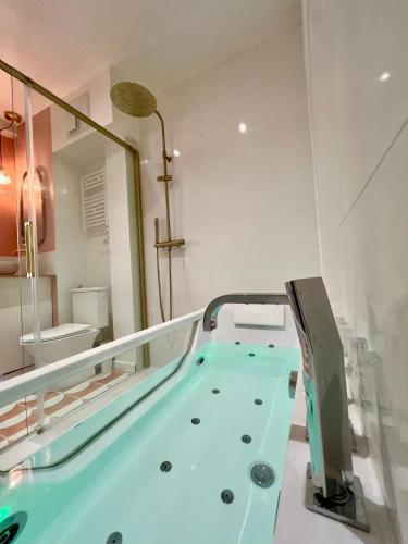 Le Bellegarde - hypercentre et jacuzzi, Toulouse
