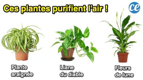 Appart 18esiecle proche Centre Ville Pierre Plantes Bohéme LGBT, Bordeaux (photo 9)