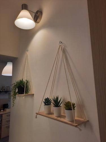 One-Bedroom Apartment image 1