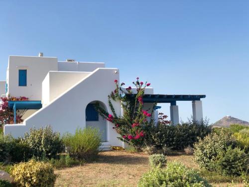ทัศนียภาพภายนอกโรงแรม, Eliza & Mike's Villas Paros in เกาะเพรอส