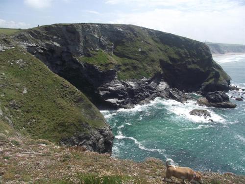 Trevarrian Lodge - image 6