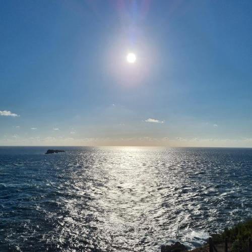 Trevarrian Lodge - image 7