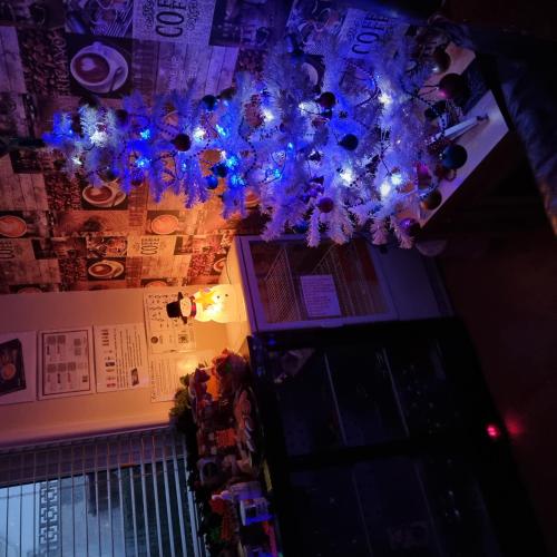 Trevarrian Lodge - image 4