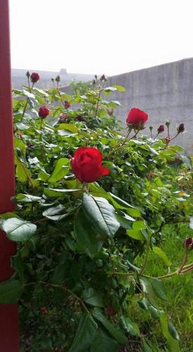 La Clef Du Bonheur photo 16