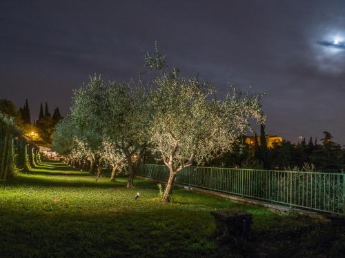 Cà Toresele Relais Osteria Garden - image 5