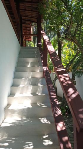 Pitanga Ilha Grande