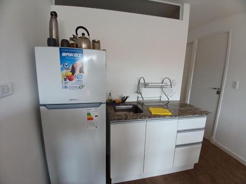 DEPARTAMENTO RINCON DE MINA in Barrio Zacagnini