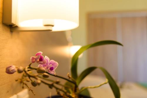 Aptera Beach - image 12