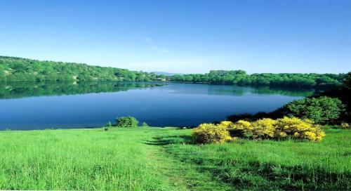 Schöne Ferienwohnung In Daun Mit Garten Schöne Ferienwohnung In Daun Mit Garten