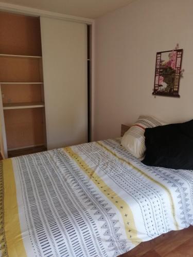 Les fontaines T4 Spacieux 3 chambres parking gratuit, Toulouse (foto 3)