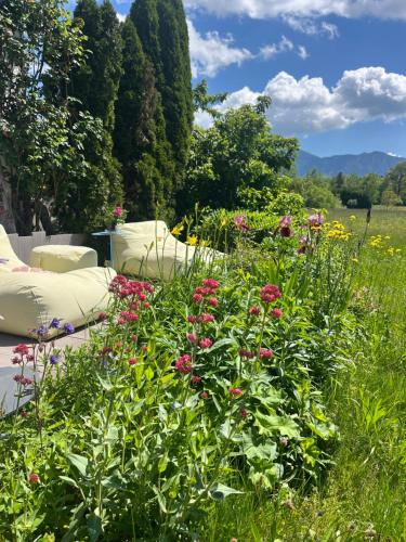REST - Ferienwohnung Sonnenblume mit schönem Bergpanorama - ab Mai Chiemgaukarte NEU!, Siegsdorf (fotografie 9)