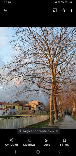 Creativhause 2, San Giuliano Terme (fotografie 9)
