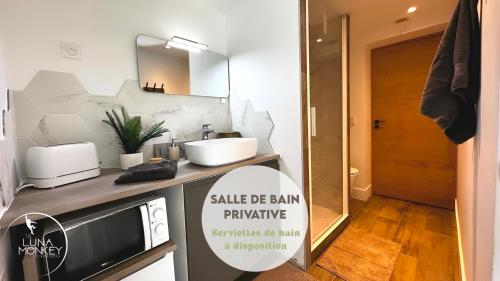 Luna Monkey, Chambre & Terrasse privee, Bourgoin Centre - Saint-Agnin-sur-Bion