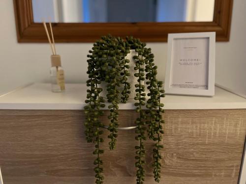 Budget Friendly Stay - HS2 - New St - Private Parking, Birmingham (zdjęcie 8)