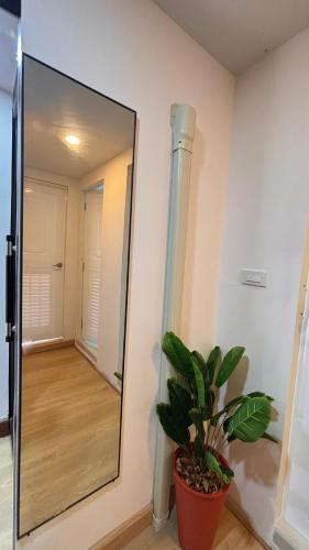 Brightstar Hostel in PP島