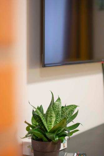 KarlovaIdyll 2 - Cozy Apartment in a Quiet Area with FREE Parking KarlovaIdyll 2 - Cozy Apartment in a Quiet Area with FREE Parking