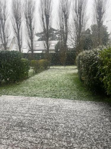 Appartement lumineux en rez-de- jardin Appartement lumineux en rez-de- jardin