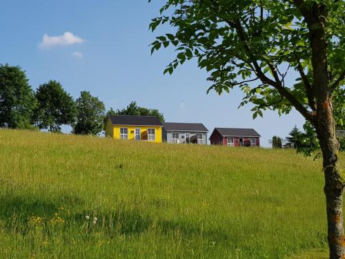 Apkārtne, Feriensiedlung am Bierwiesenteich in Pfaffroda