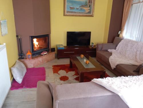 Exotic house in Kedro (Lesvos)