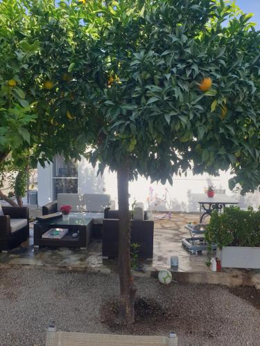 Erkély/terasz, Lovely flat apartment in Paralia Agion Panton