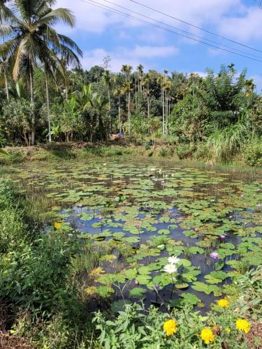 The Forest Temple in วาราดูร์