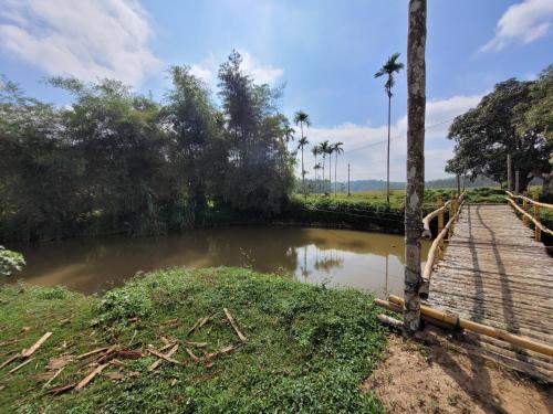 ทัศนียภาพ, The Forest Temple in วาราดูร์