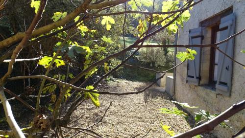 Les gites de Pétrocoriis - image 7