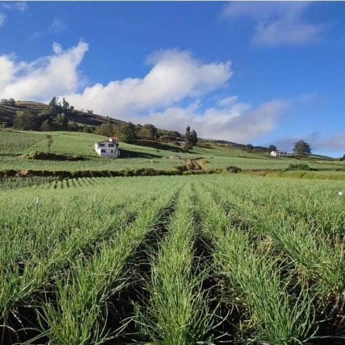 Cabana Turistica Agrolago in Aquitania