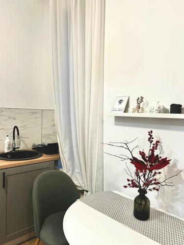 CHERRY apartment, Riga (fotografie 6)