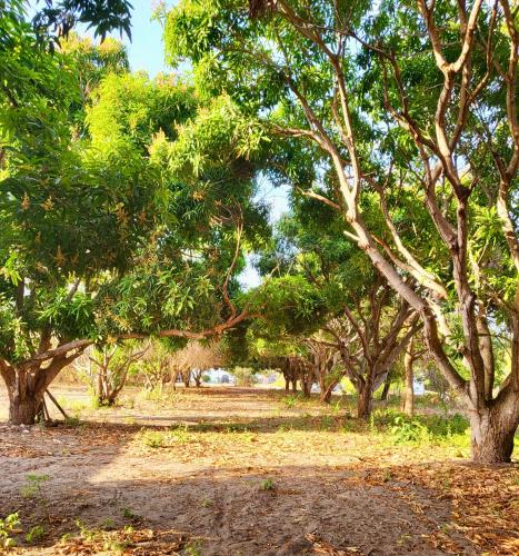 منظر, Casa Kite in Punta Chame
