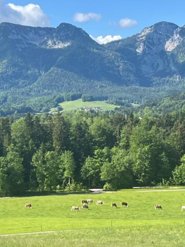 REST - Ferienwohnung Sonnenblume mit schönem Bergpanorama - ab Mai Chiemgaukarte NEU!, Siegsdorf (fotografie 2)