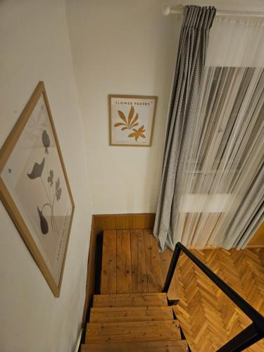 Cozy Downtown Apartment 5